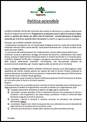 Politica aziendale